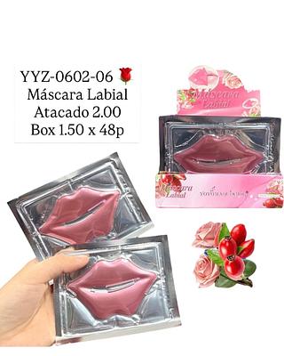 Máscara Labial Rosa mosqueta 🌹